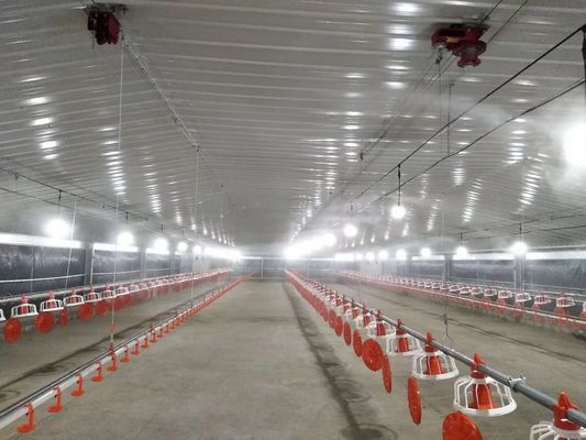Ζυγισμένη κατασκευασμένη δομή από χάλυβα Σπίτι πουλερικών Σπίτι κοτόπουλου Κουπί πυρόστακτο