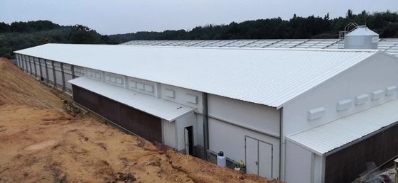 Προσαρμοσμένη γεωργική χάλυβα δομή Σκουπίδια πουλερικών Q235B Q355B Ζυγισμένο χαλύβδινο φύλλο