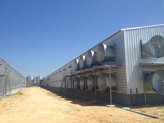 Σιδηροδρομικό κτίριο υψηλής ανύψωσης για κοτόπουλο Σχοινιά σύνδεση και προσαρμόσιμο σχέδιο