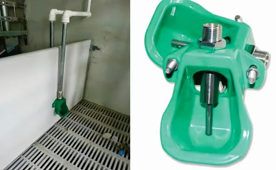 KXD Χάλυβα Χάλυβα Χοίρος Νύμφος Πιέτης εξοπλισμός χοιροκομίας Γρήγορη εγκατάσταση