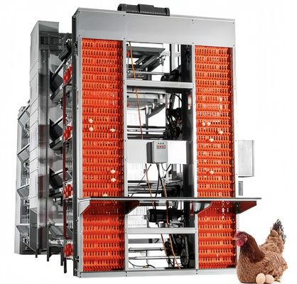 Τύπος Ηλεκτρική μπαταρία στρώμα Κλουβί κοτόπουλου Αυτοματοποιημένο εξοπλισμό εκτροφής κοτόπουλου